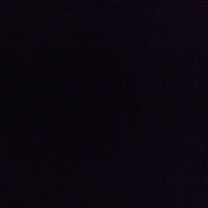 Meet your Posher, Ellie